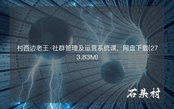 村西边老王·社群管理及运营系统课，网盘下载(273.83M)