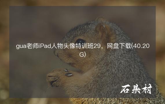 gua老师iPad人物头像特训班29，网盘下载(40.20G)