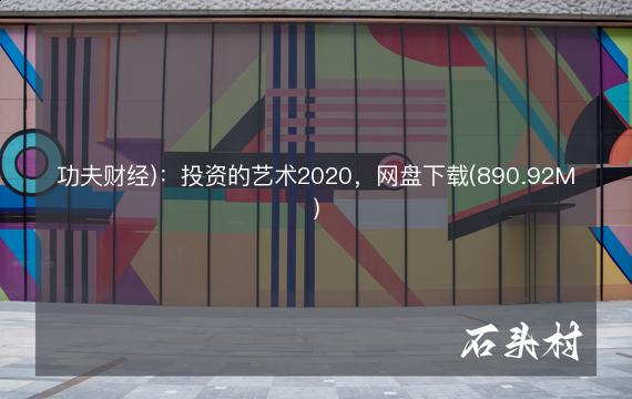 功夫财经)：投资的艺术2020，网盘下载(890.92M)