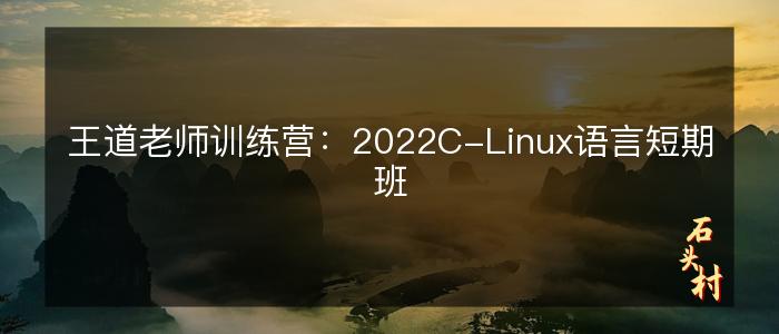 王道老师训练营：2022C-Linux语言短期班