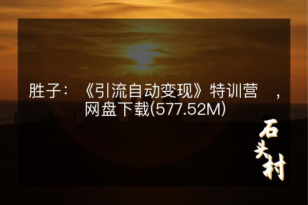 胜子：《引流自动变现》特训营​，网盘下载(577.52M)