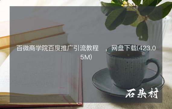 百微商学院百度推广引流教程​，网盘下载(423.05M)