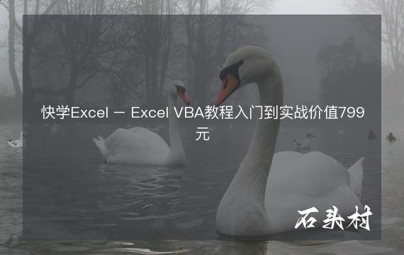 快学Excel – Excel VBA教程入门到实战价值799元