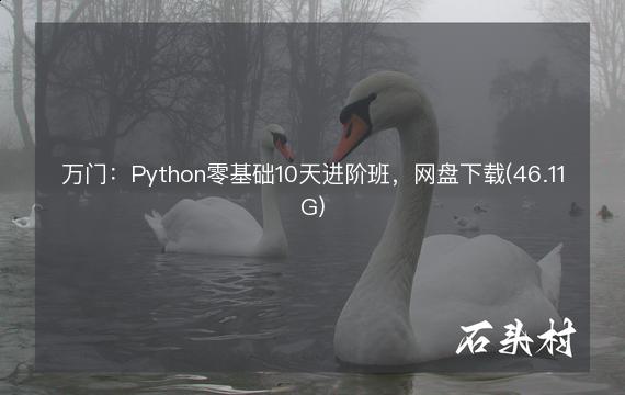 万门：Python零基础10天进阶班，网盘下载(46.11G)