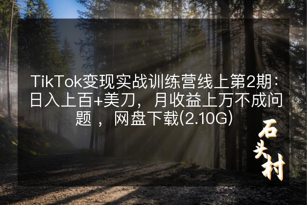 TikTok变现实战训练营线上第2期：日入上百+美刀，月收益上万不成问题 ，网盘下载(2.10G)