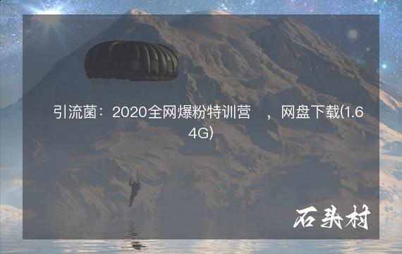 ​引流菌：2020全网爆粉特训营​，网盘下载(1.64G)