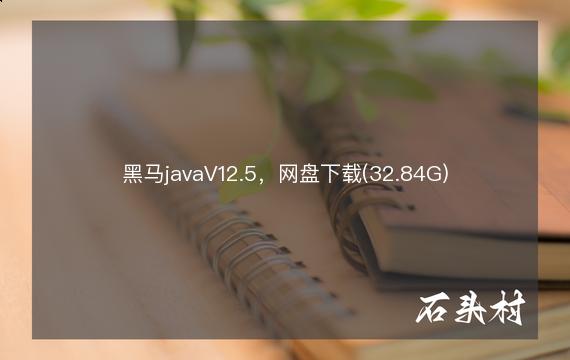 黑马javaV12.5，网盘下载(32.84G)